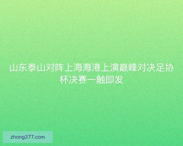 山东泰山对阵上海海港上演巅峰对决足协杯决赛一触即发