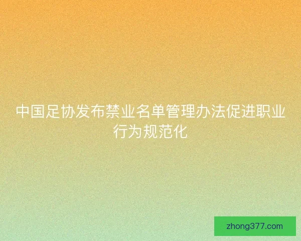 中国足协发布禁业名单管理办法促进职业行为规范化